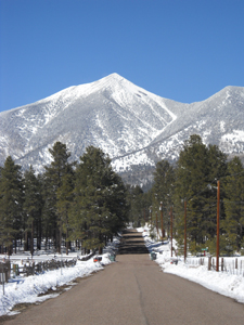 Don't wander the snowy roads all alone, our real estate firm can help you navigate the twists and turns of buying or selling a home in Flagstaff, Arizona.